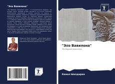 Buchcover von "Эхо Вавилона"