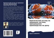 Bookcover of Критический взгляд на правовую систему прекращения производства по делу