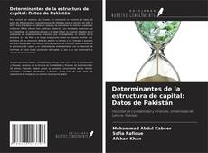 Обложка Determinantes de la estructura de capital: Datos de Pakistán