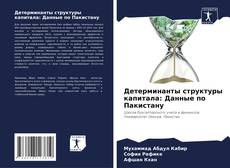 Bookcover of Детерминанты структуры капитала: Данные по Пакистану