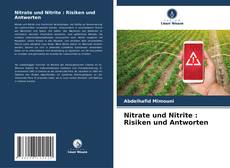 Capa do livro de Nitrate und Nitrite : Risiken und Antworten 