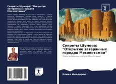 Buchcover von Секреты Шумера: "Открытие затерянных городов Месопотамии"