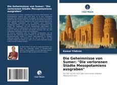 Borítókép a  Die Geheimnisse von Sumer: "Die verlorenen Städte Mesopotamiens ausgraben" - hoz