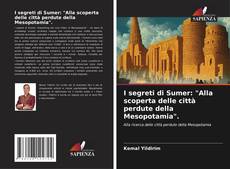 Buchcover von I segreti di Sumer: "Alla scoperta delle città perdute della Mesopotamia".