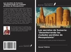 Copertina di Los secretos de Sumeria: "Desenterrando las ciudades perdidas de Mesopotamia"