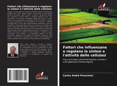 Fattori che influenzano e regolano la sintesi e l'attività delle cellulasi kitap kapağı