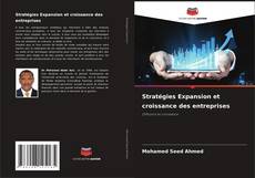 Stratégies Expansion et croissance des entreprises kitap kapağı