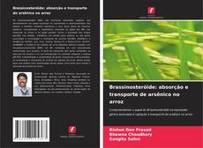 Portada del libro de Brassinosteróide: absorção e transporte de arsênico no arroz