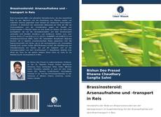 Capa do livro de Brassinosteroid: Arsenaufnahme und -transport in Reis 