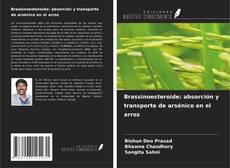 Capa do livro de Brassinoesteroide: absorción y transporte de arsénico en el arroz 