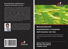 Portada del libro de Brassinosteroid: assorbimento e trasporto dell'arsenico nel riso