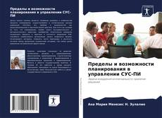 Portada del libro de Пределы и возможности планирования в управлении СУС-ПИ