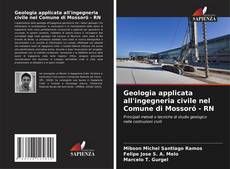 Geologia applicata all'ingegneria civile nel Comune di Mossoró - RN kitap kapağı