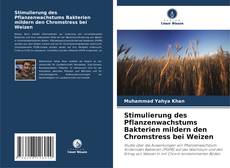 Capa do livro de Stimulierung des Pflanzenwachstums Bakterien mildern den Chromstress bei Weizen 