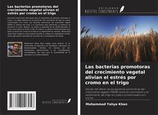 Couverture de Las bacterias promotoras del crecimiento vegetal alivian el estrés por cromo en el trigo