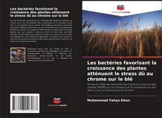 Buchcover von Les bactéries favorisant la croissance des plantes atténuent le stress dû au chrome sur le blé