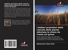 I batteri promotori della crescita delle piante alleviano lo stress da cromo sul grano kitap kapağı