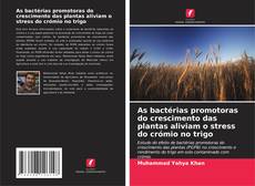 Portada del libro de As bactérias promotoras do crescimento das plantas aliviam o stress do crómio no trigo