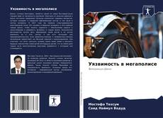 Уязвимость в мегаполисе的封面