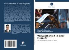 Couverture de Verwundbarkeit in einer Megacity