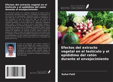 Обложка Efectos del extracto vegetal en el testículo y el epidídimo del ratón durante el envejecimiento