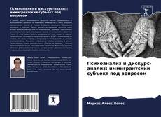 Portada del libro de Психоанализ и дискурс-анализ: иммигрантский субъект под вопросом