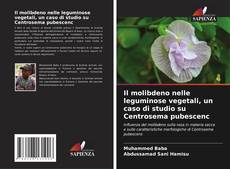 Capa do livro de Il molibdeno nelle leguminose vegetali, un caso di studio su Centrosema pubescenc 