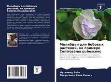 Portada del libro de Молибден для бобовых растений, на примере Centrosema pubescenc