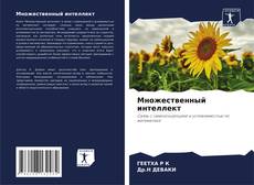 Множественный интеллект kitap kapağı