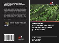 Capa do livro de Potenzialità metaboliche dei batteri isolati che degradano gli idrocarburi 