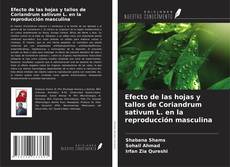 Обложка Efecto de las hojas y tallos de Coriandrum sativum L. en la reproducción masculina