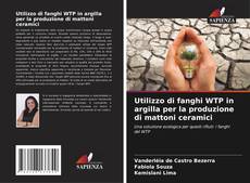 Utilizzo di fanghi WTP in argilla per la produzione di mattoni ceramici kitap kapağı