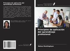 Copertina di Principios de aplicación del aprendizaje profesional