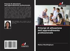 Principi di attuazione dell'apprendimento professionale kitap kapağı