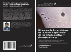 Capa do livro de Dinámica de las proteínas de la leche: Exploración de los estados nativo y desnaturalizado 