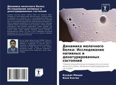 Bookcover of Динамика молочного белка: Исследование нативных и денатурированных состояний