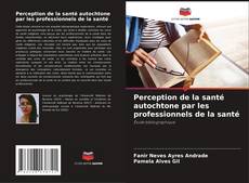 Capa do livro de Perception de la santé autochtone par les professionnels de la santé 