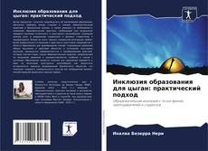 Инклюзия образования для цыган: практический подход kitap kapağı