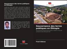 Bookcover of Gouvernance des terres publiques en Éthiopie