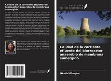 Copertina di Calidad de la corriente efluente del biorreactor anaerobio de membrana sumergido