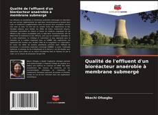 Обложка Qualité de l'effluent d'un bioréacteur anaérobie à membrane submergé