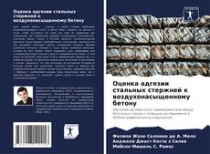 Оценка адгезии стальных стержней к воздухонасыщенному бетону的封面