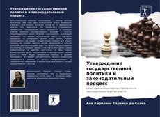 Утверждение государственной политики и законодательный процесс的封面