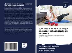 Диастаз прямой мышцы живота в послеродовом периоде的封面