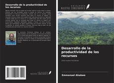 Desarrollo de la productividad de los recursos的封面
