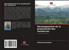 Développement de la productivité des ressources kitap kapağı