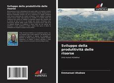 Buchcover von Sviluppo della produttività delle risorse