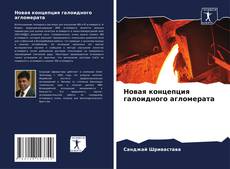 Новая концепция галоидного агломерата kitap kapağı