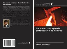 Capa do livro de Un nuevo concepto de sinterización de haluros 