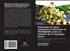 Copertina di Dépistage du (des) marqueur(s) RGA dans le MUNGBEAN contre la maladie de la mosaïque jaune